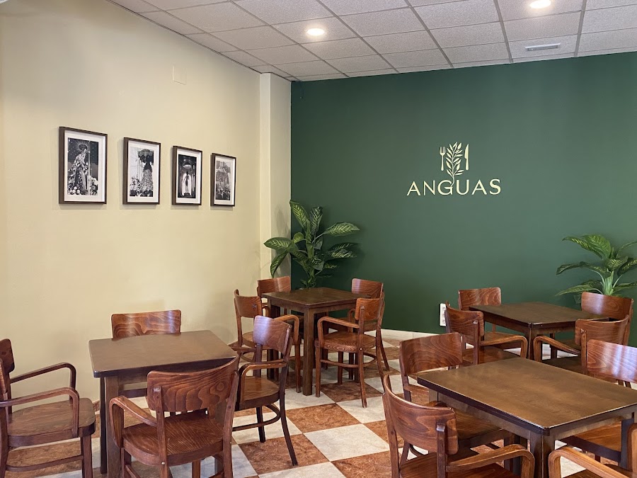 Casa Anguas