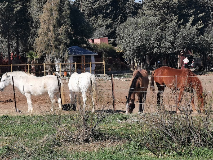 Finca El Álamo