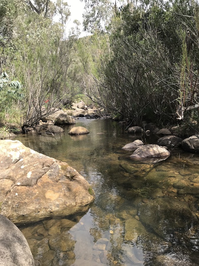 Ruta de Los Molinos